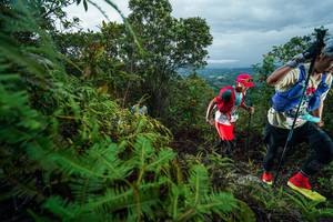 BIB: 
                            <button type="button" onclick="openModal(26196679)" class="btn btn-primary btn-sm float-right btn-popup" data-toggle="modal" data-target=".modal-high-quality">
                        <i class="fas fa-shopping-cart"></i> Add to Cart
                    </button>
                                            <button type="button" onclick="isThisMe(26196679, true)" class="btn btn-success btn-sm float-right btn-popup btn-isme hidden" data-toggle="tooltip" data-placement="bottom" title="นี่คือรูปของคุณใช่ไหม คลิกที่นี่เพื่อเอาเข้าอัลบั้ม">
                        <i class="fas fa-plus"></i> Add to album
                    </button>
                    <button type="button" onclick="isThisMe(26196679, false)" class="btn btn-warning btn-sm float-right btn-popup btn-isnotme hidden">
                        <i class="fas fa-ban"></i> Remove from album
                    </button>